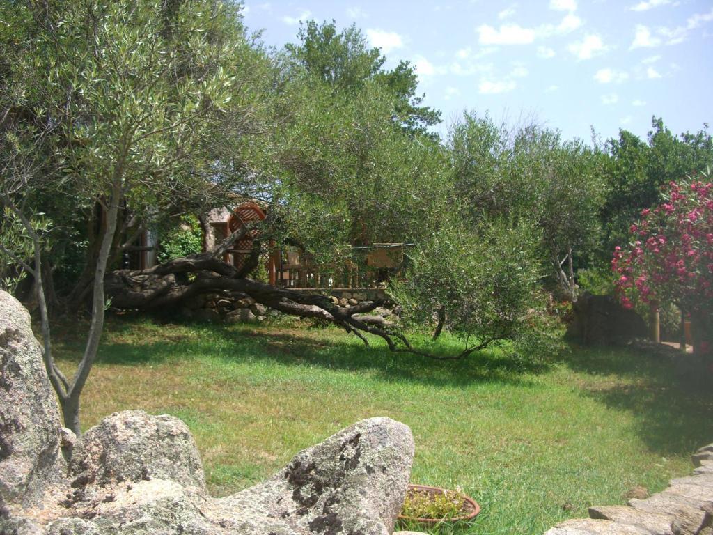 Jaddhu Agriturismo Country Resort Arzachena Exterior photo