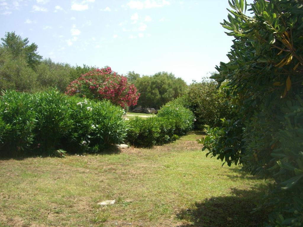 Jaddhu Agriturismo Country Resort Arzachena Exterior photo